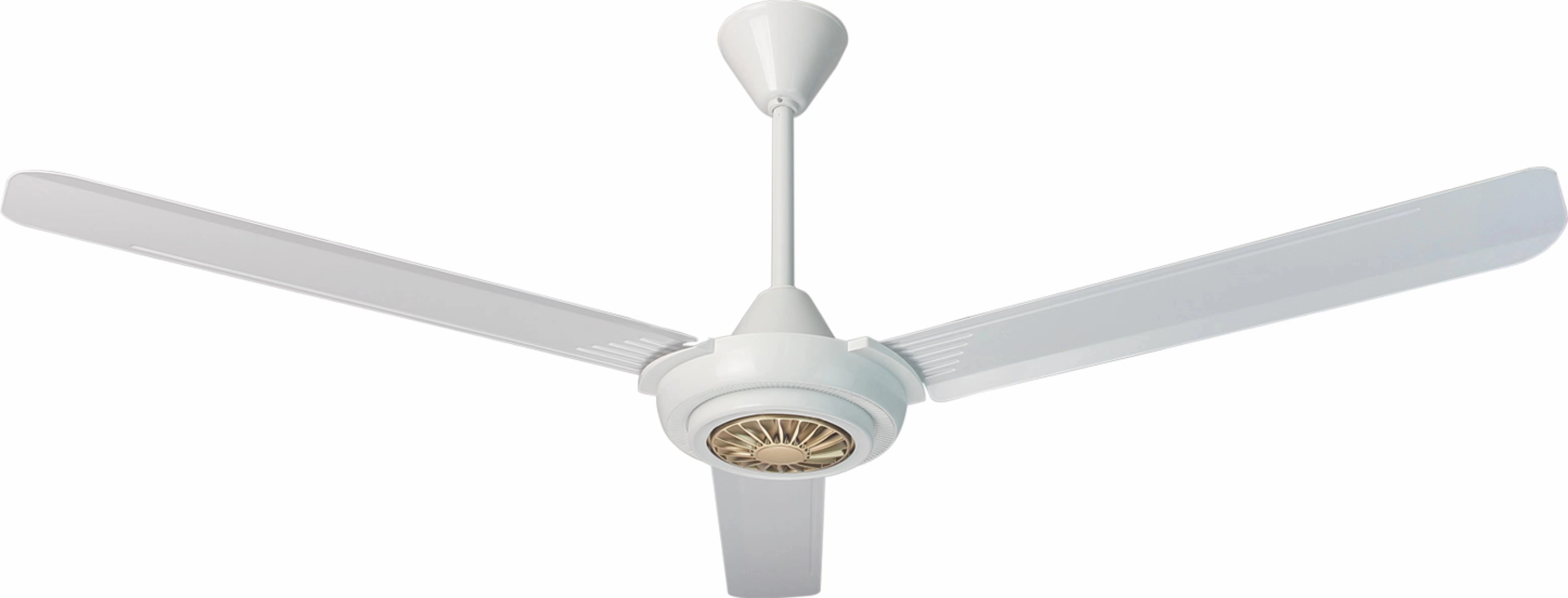 Ceiling fan