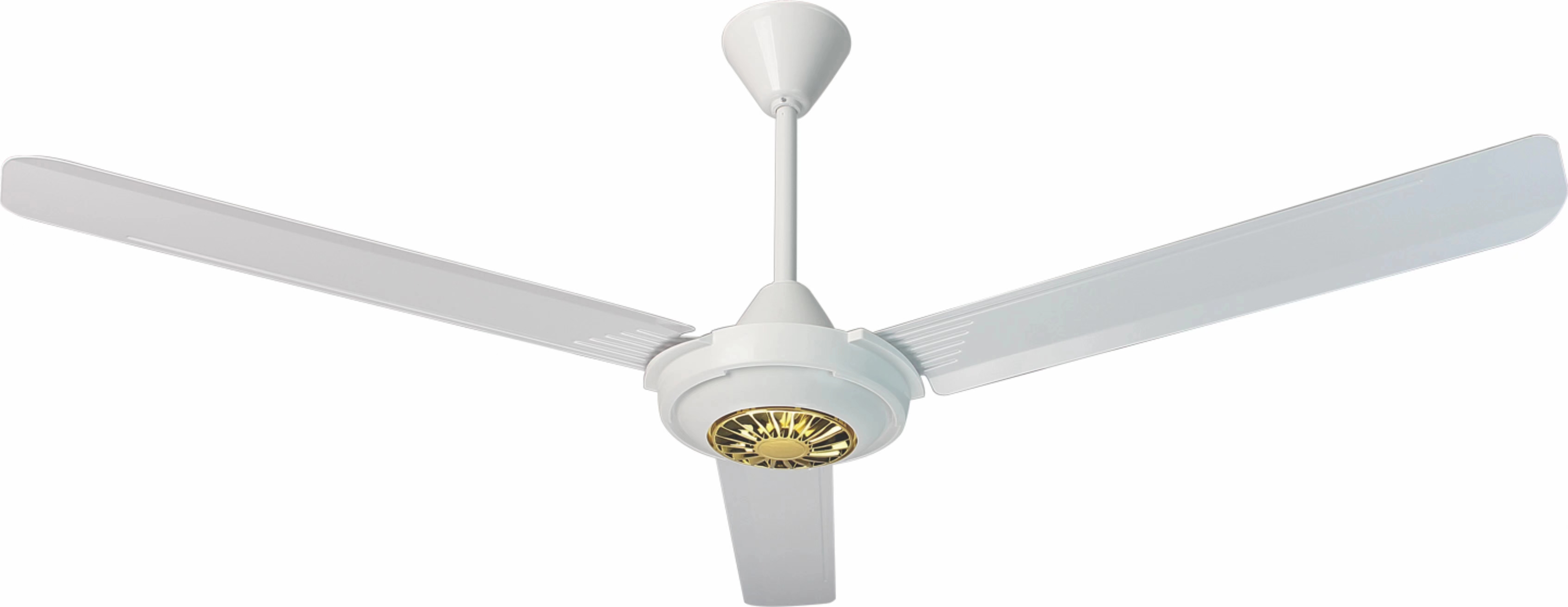 Ceiling fan