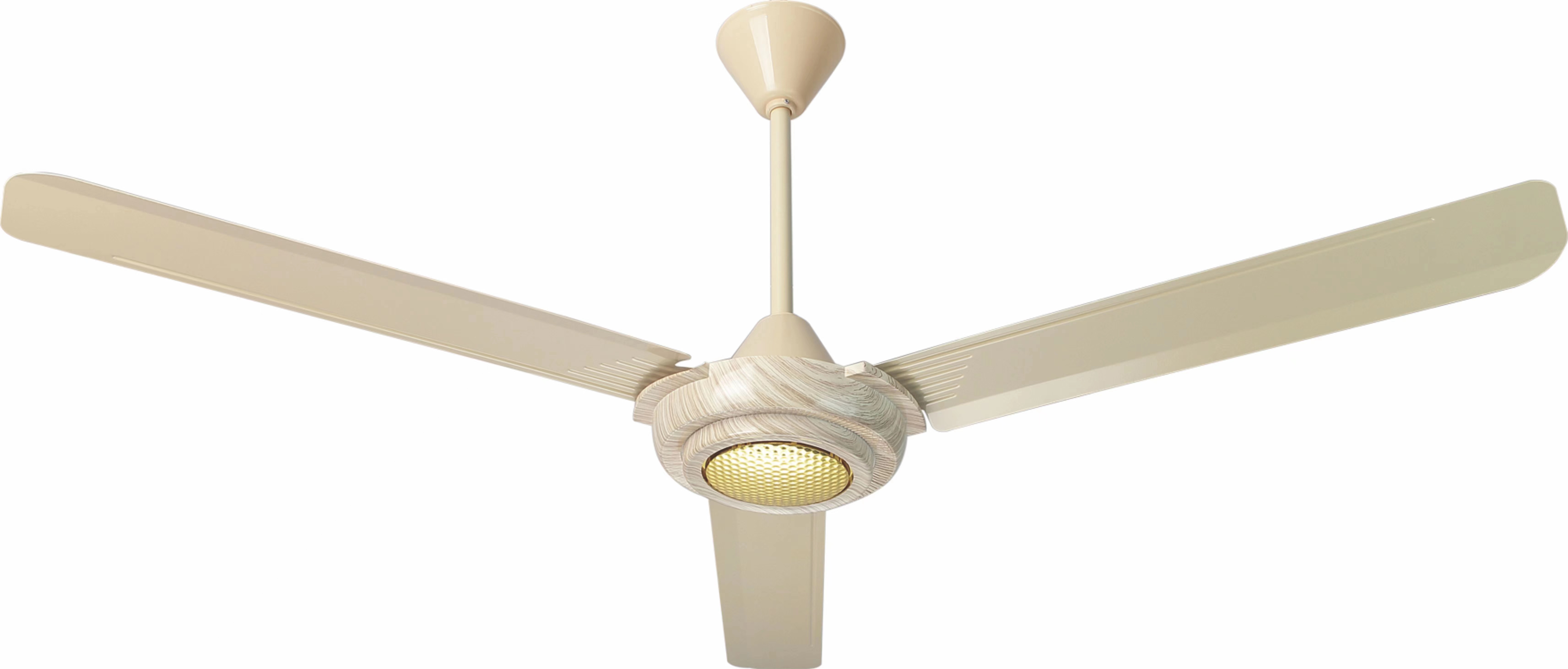 Ceiling fan