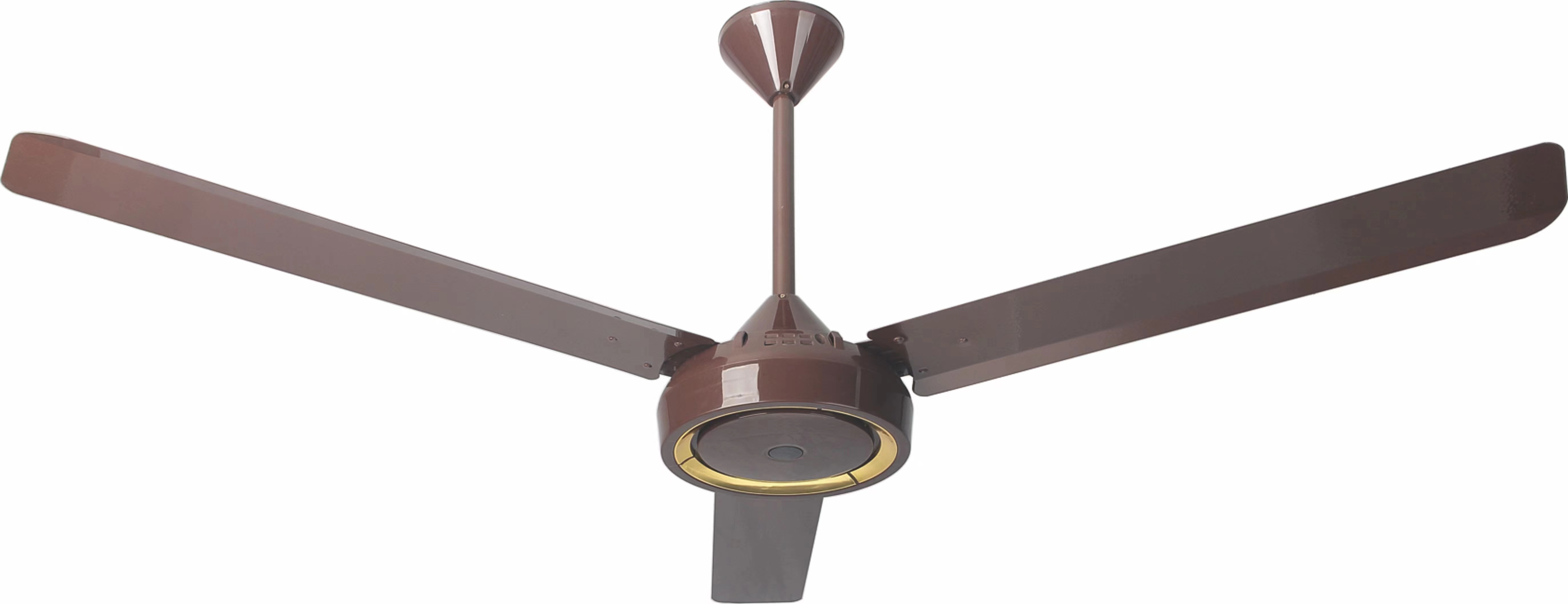 Ceiling fan
