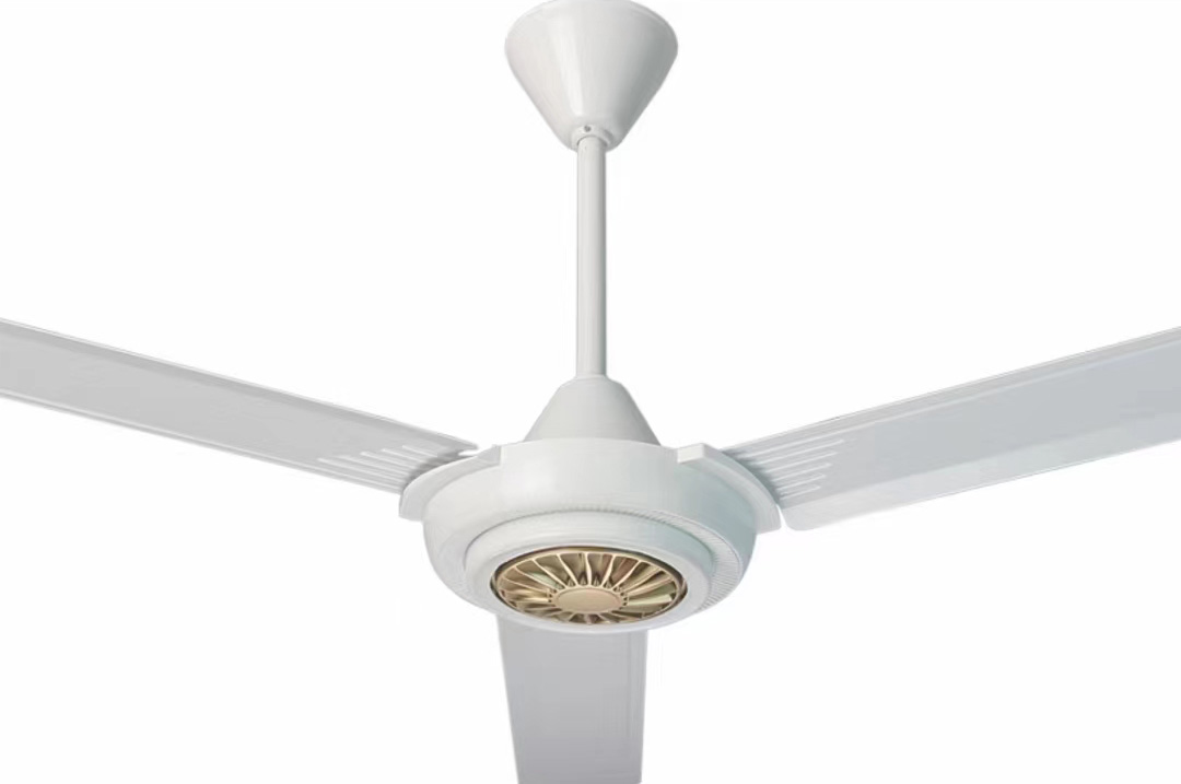 Ceiling fan